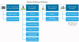 Sports and Fitness Career Pathway Carone Learning